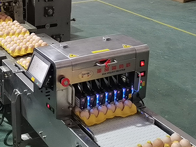 Egg printer (optional)