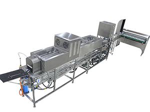 Egg Processing Equipment Line