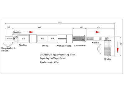 300A  Egg Processing  Line with Cleaning & Grading
