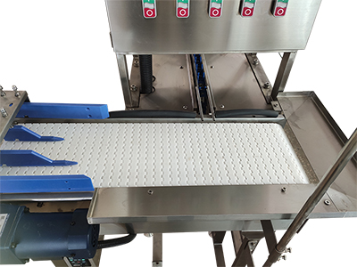 300A  Egg Processing  Line with Cleaning & Grading