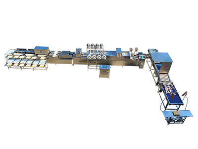 303AS Egg Processing Line