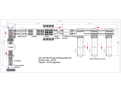 303AS Egg Processing Line