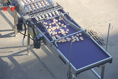 303AS Egg Processing Line