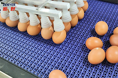 303AS Egg Processing Line