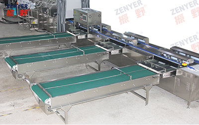 303AS Egg Processing Line