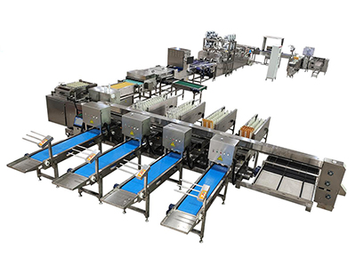 304A Egg Processing Line
