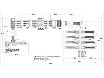 304A Egg Processing Line