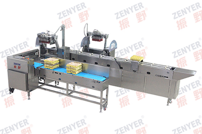 304A Egg Processing Line