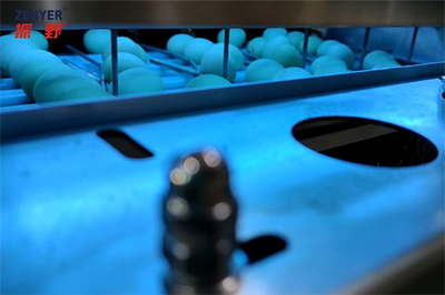 304A Egg Processing Line