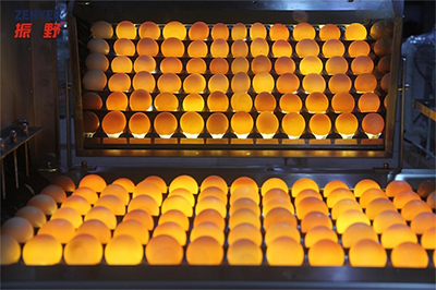 304A Egg Processing Line