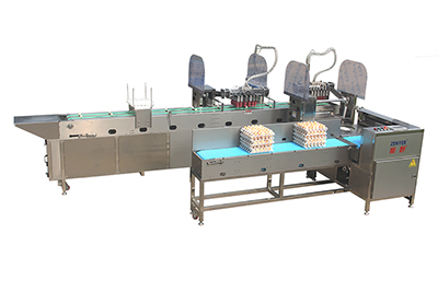 305A Egg Processing Line
