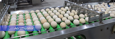 305A Egg Processing Line