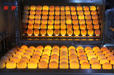 305A Egg Processing Line