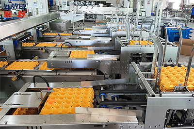 305A Egg Processing Line