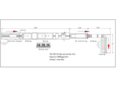 301A Egg Processing Line with Cleaning Grading
