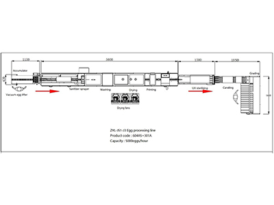 301A Egg Processing Line with Cleaning Grading