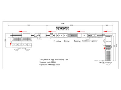 302AS Egg Processing Line with Cleaning Grading