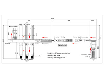 302A Egg Processing Line with Cleaning Grading Packaging