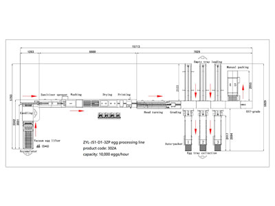 302A Egg Processing Line with Cleaning Grading Packaging