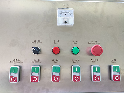 302A Egg Processing Line with Cleaning Grading Packaging
