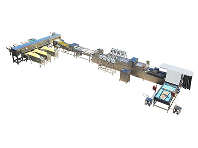 303A Egg Processing Line