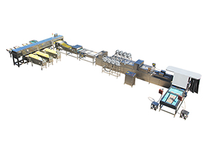 303A Egg Processing Line