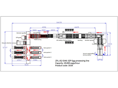 303A Egg Processing Line