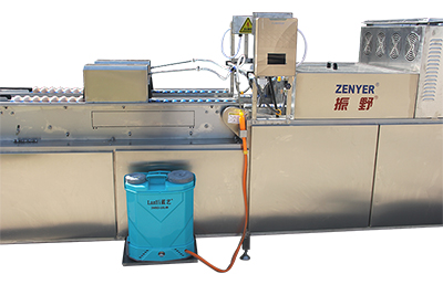 Sanitizer sprayer