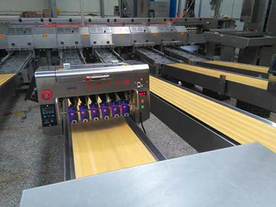 Printing (Optional)