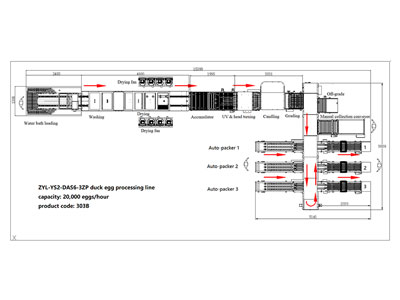 303B Duck Egg Processing Line with Cleaning & Grading
