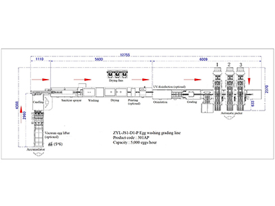 301AP Egg Processing Line