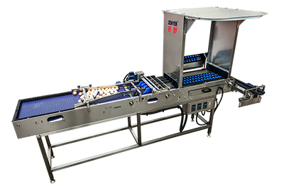 301AP Egg Processing Line
