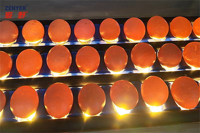 301AP Egg Processing Line
