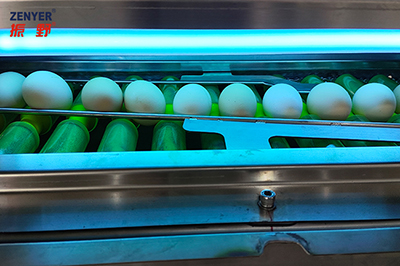 301AP Egg Processing Line