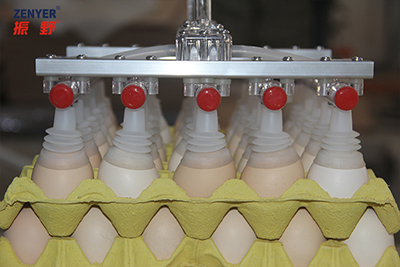 602 Egg Lifter & Loader
