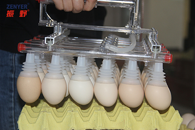 602 Egg Lifter & Loader
