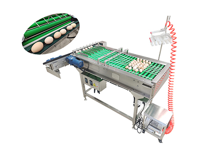 601 Vacuum Egg Lifter