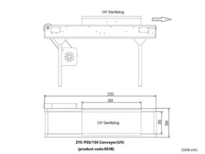 604B Belt Conveyor