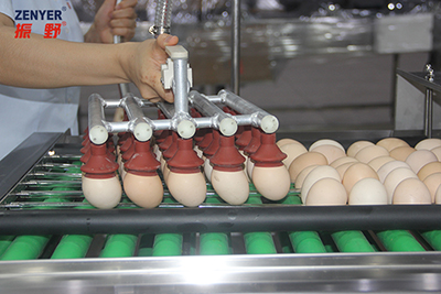 601 Vacuum Egg Lifter