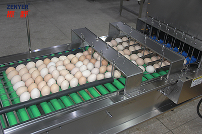 601 Vacuum Egg Lifter