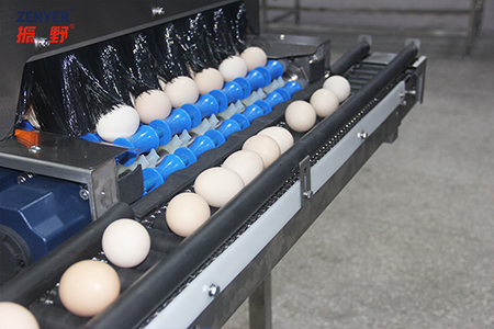 601 Vacuum Egg Lifter