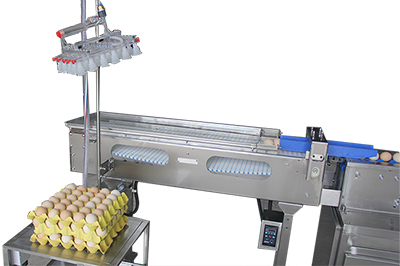 604AS Egg Accumulator