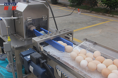 604AS Egg Accumulator