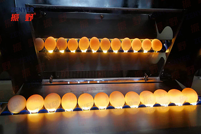 604AS Egg Accumulator